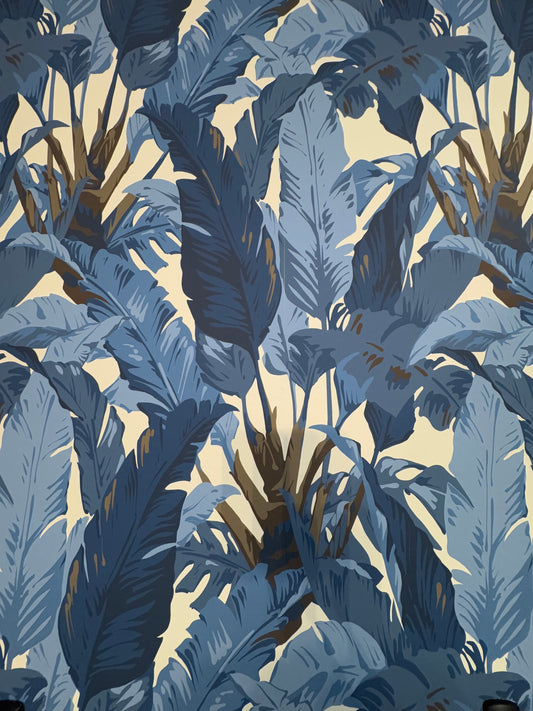 Jennifer from Studio M Interior Design